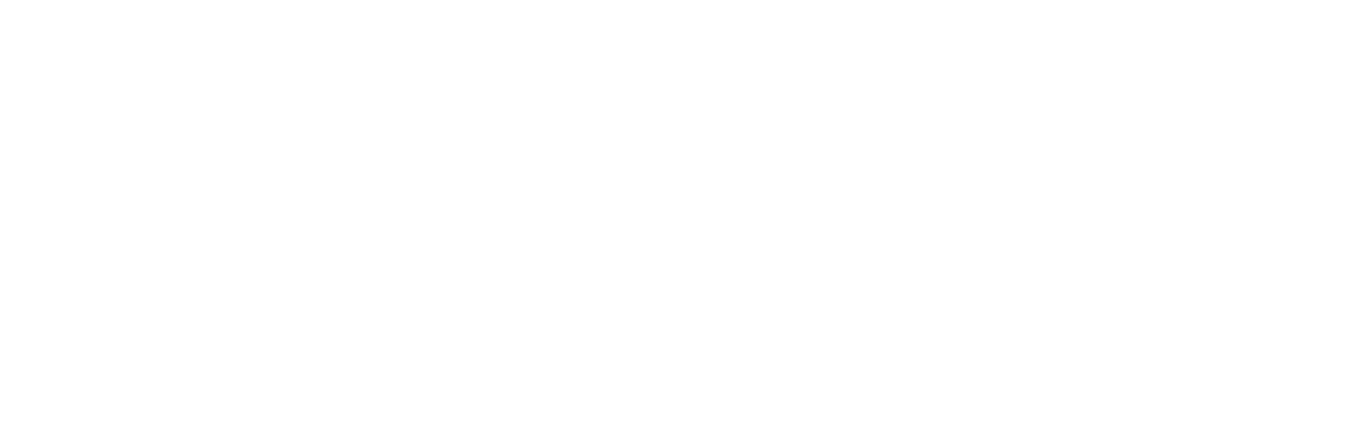 Borgia Consulting
